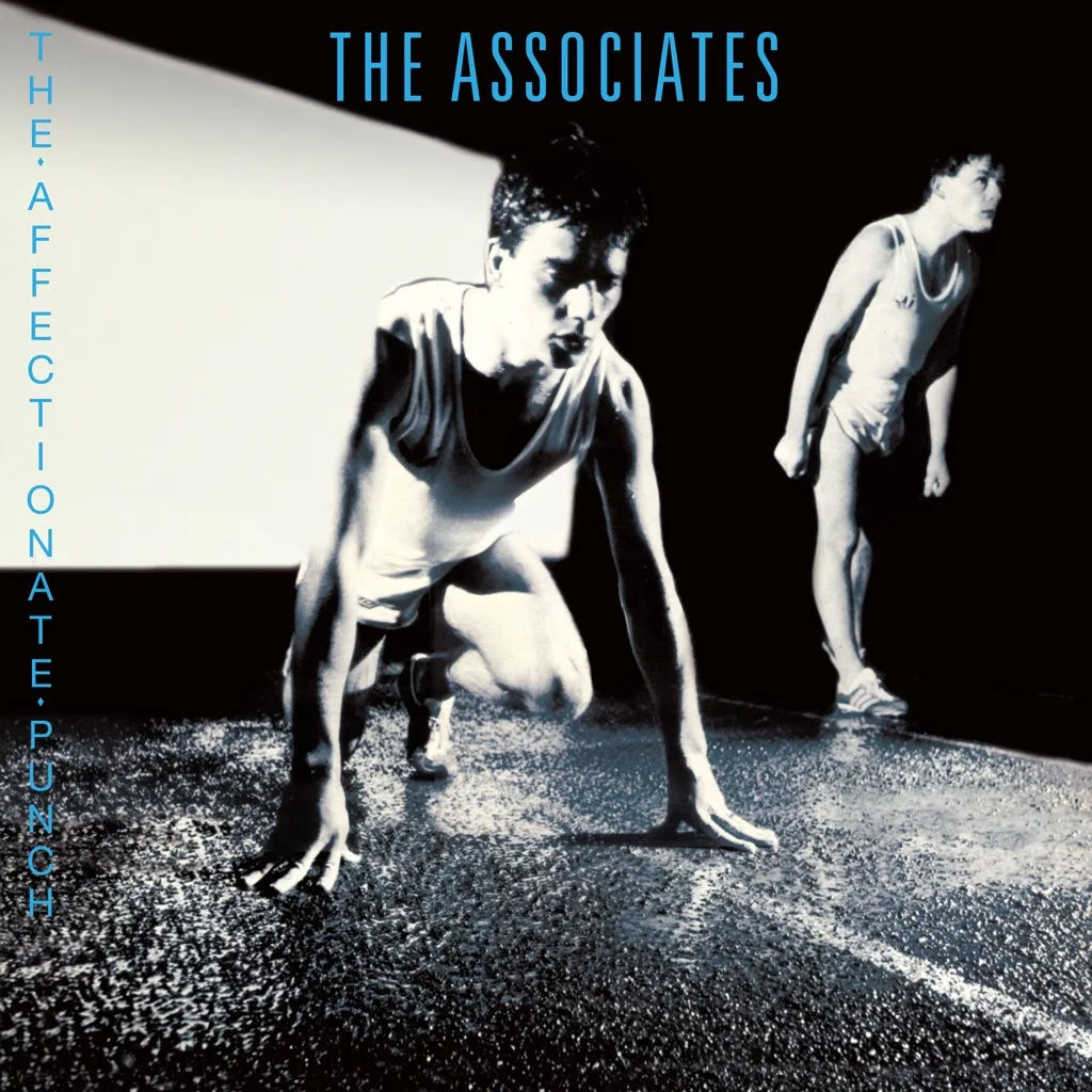 The Affectionate Punch by Associates cover