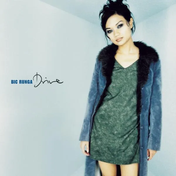 Roll Into One by Bic Runga cover