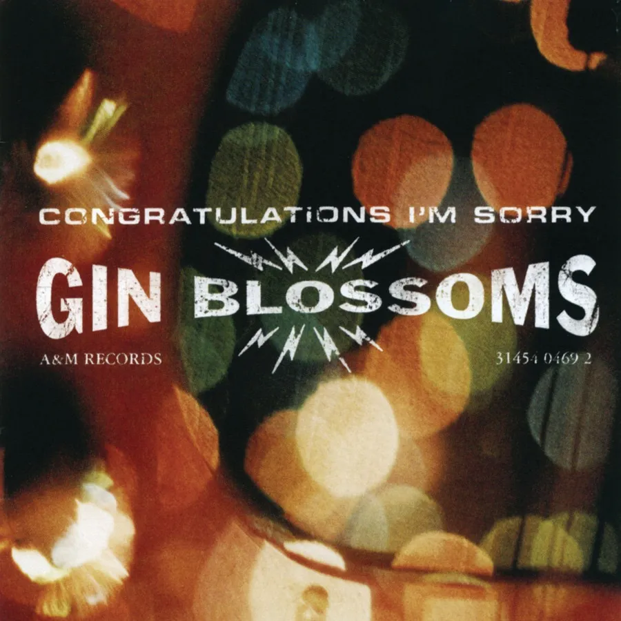 Congratulations I'm Sorry by Gin Blossoms cover