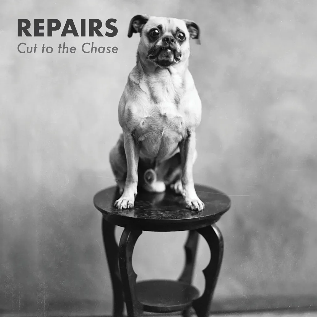 Cut To The Chase by Repairs cover