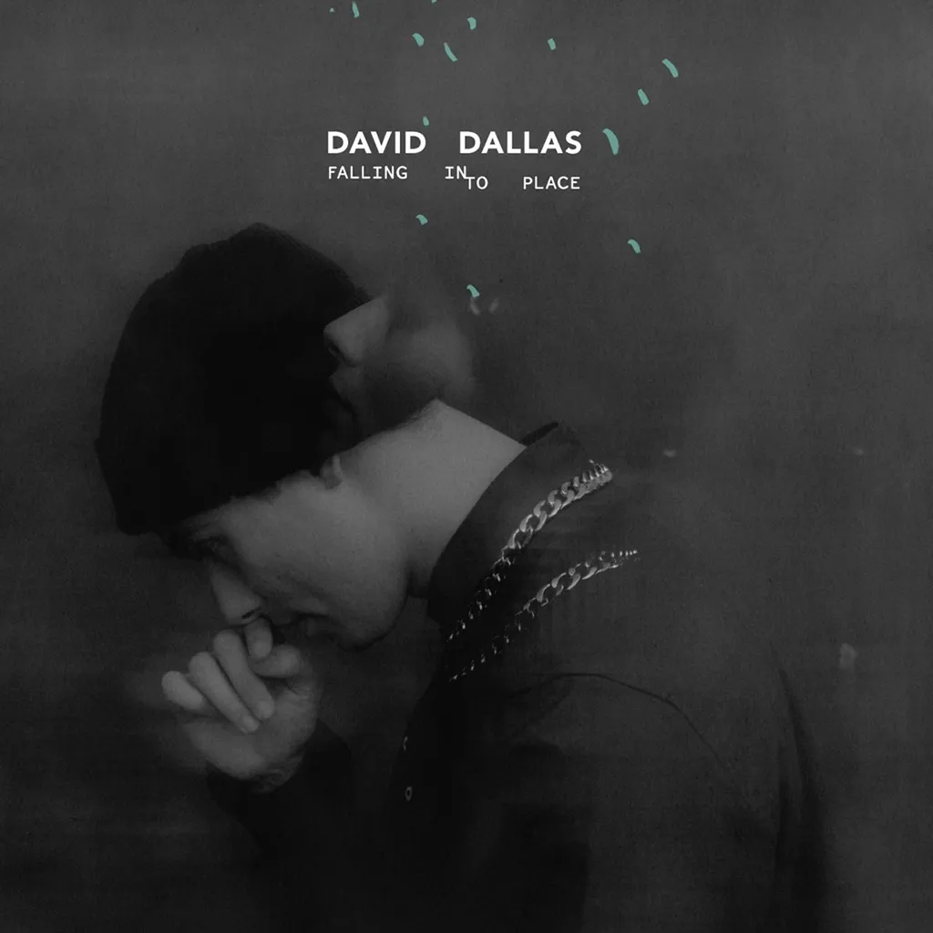 Falling Into Place by David Dallas cover