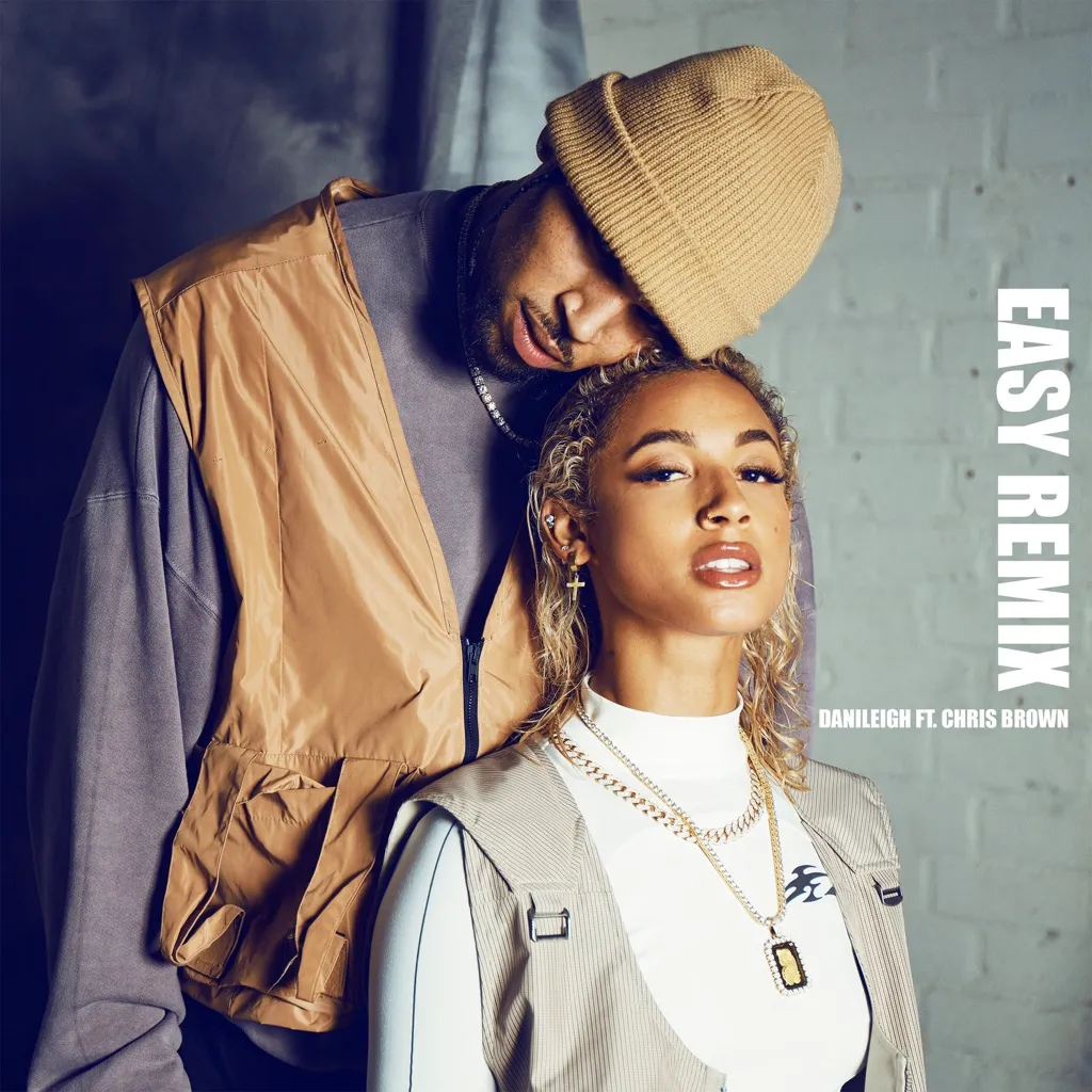 Easy (Chris Brown Remix) by DaniLeigh cover