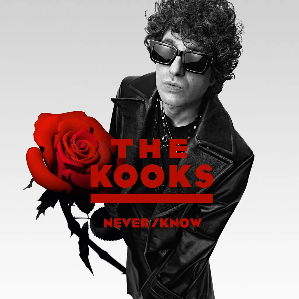 Never Know by The Kooks cover