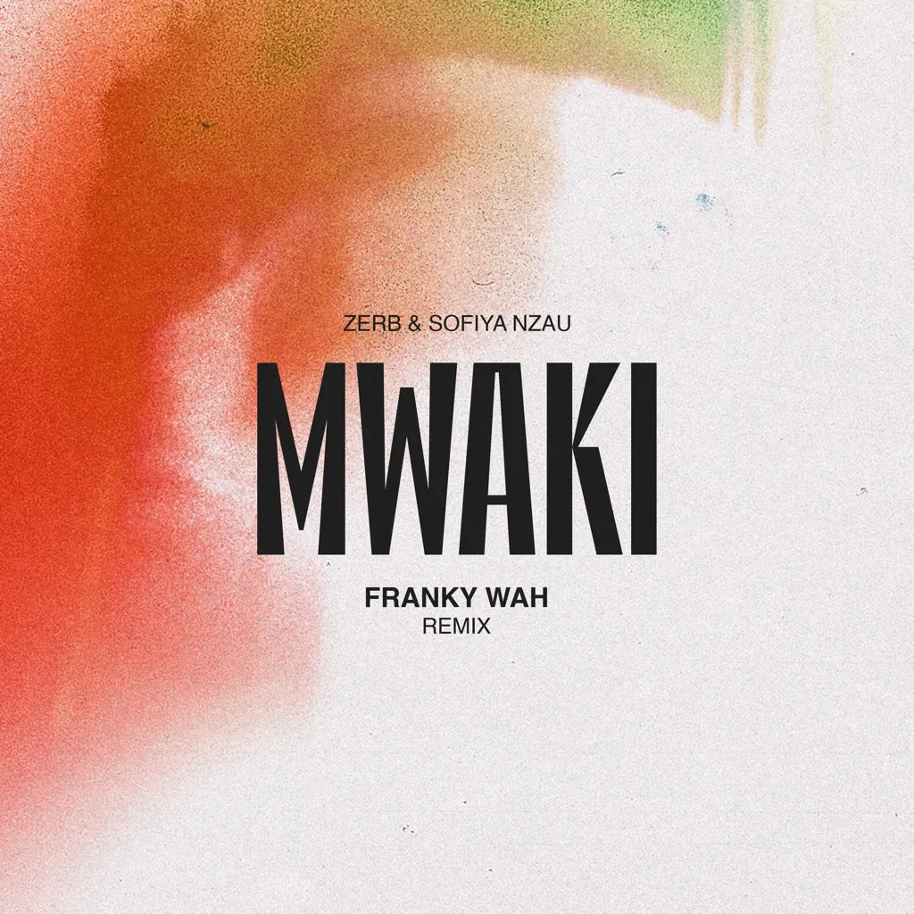 Mwaki (Tiësto VIP Mix) by Zerb feat. Sofiya Nzau cover