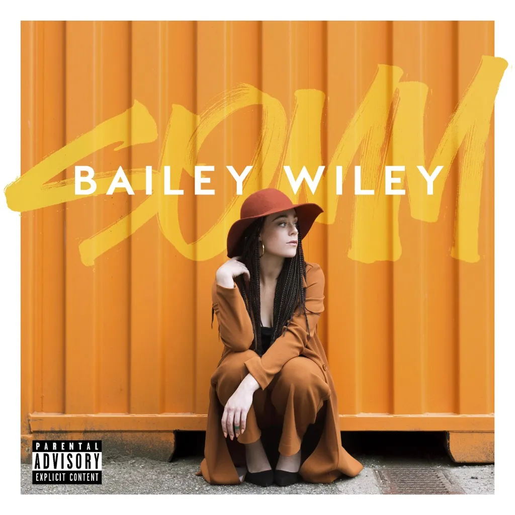 S.O.M.M. by Bailey Wiley cover