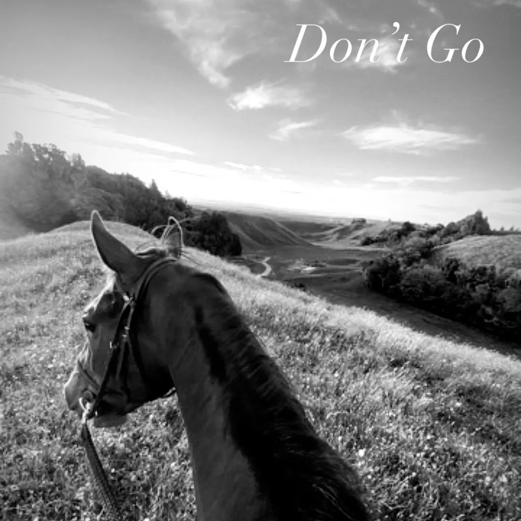 Don't Go by Liam Richards cover