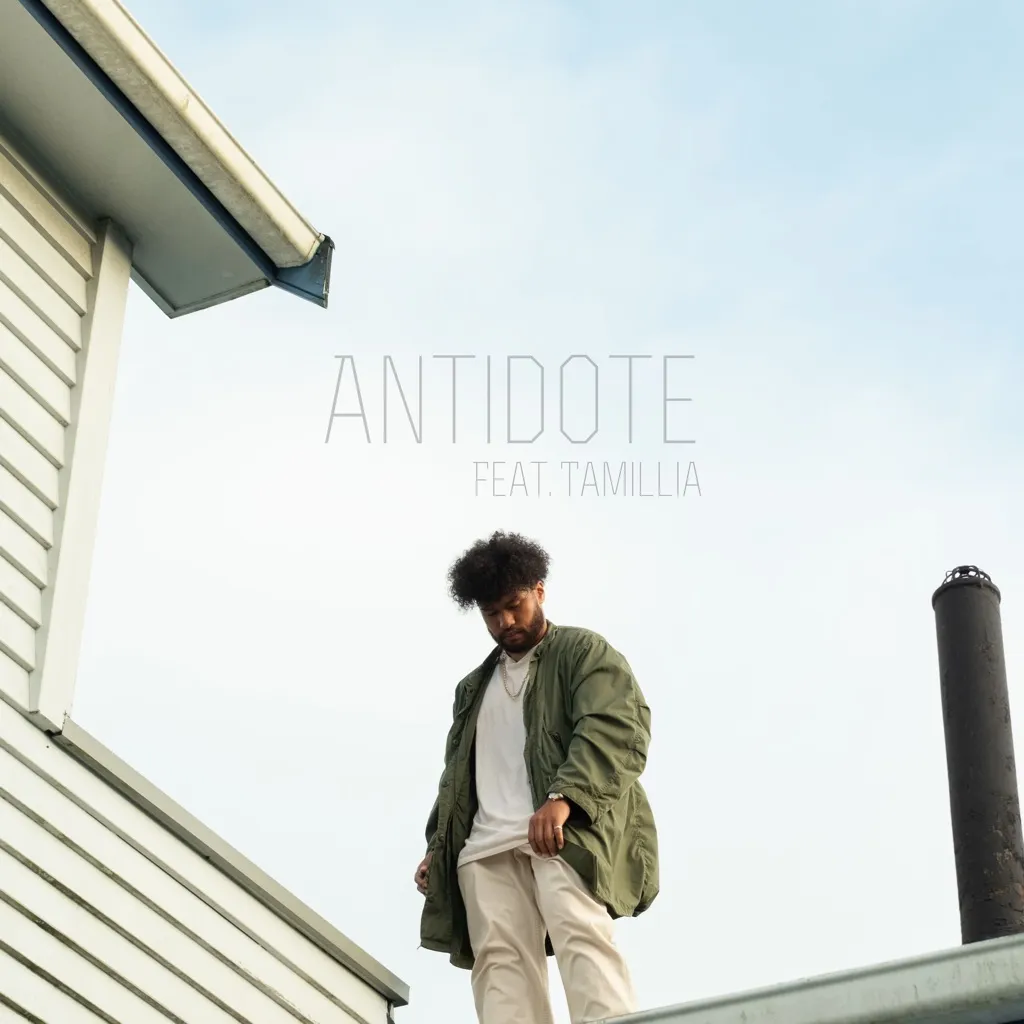 Antidote by Lepani feat. Tamillia cover