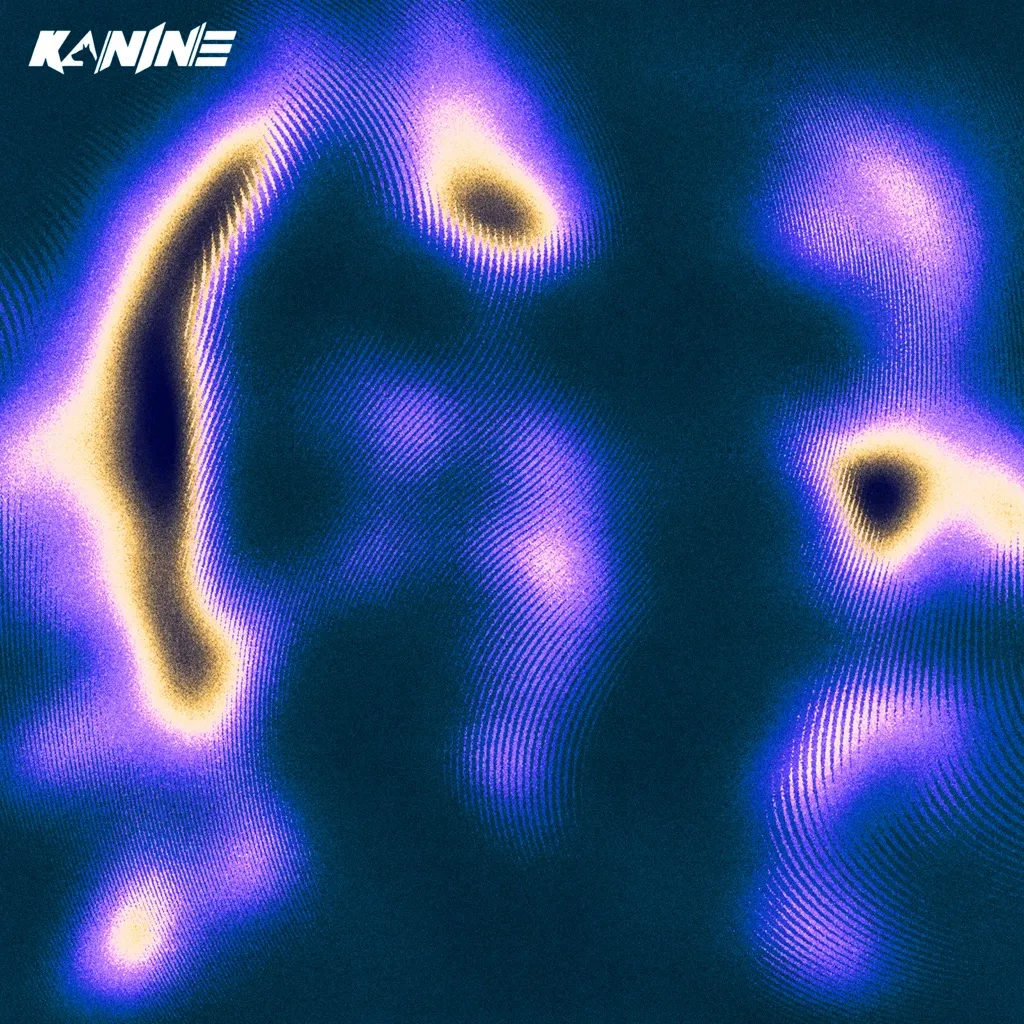 Back In Time VIP by Kanine feat. A Little Sound cover