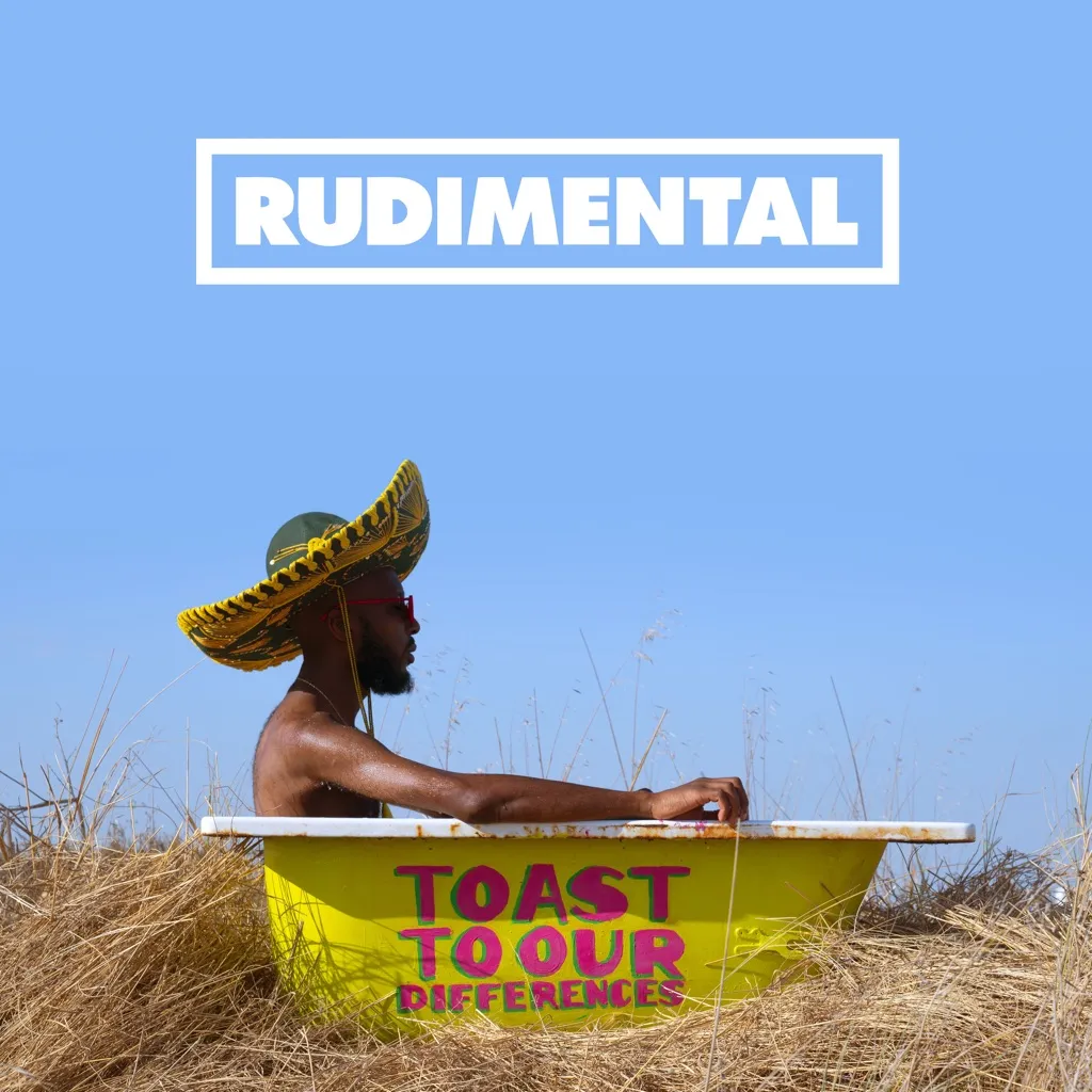 Toast To Our Differences by Rudimental cover