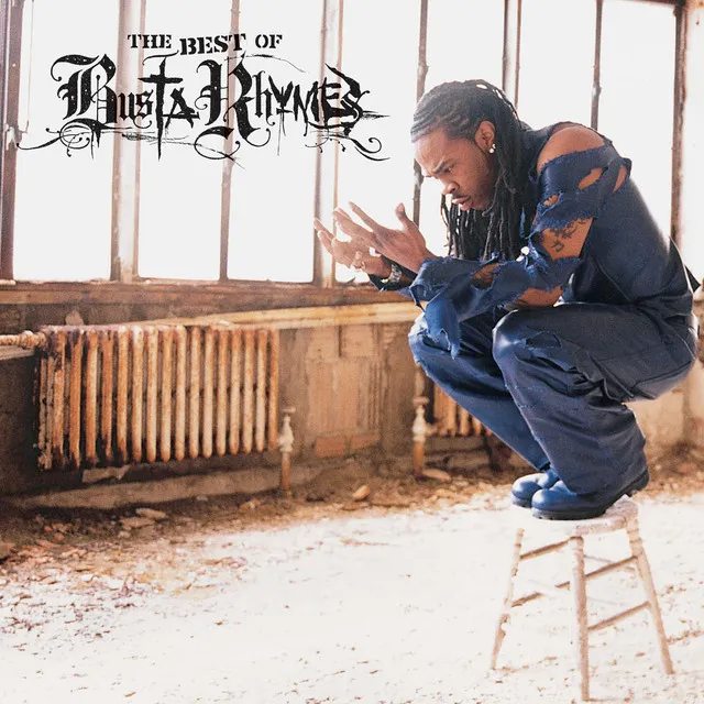 Turn It Up / Fire It Up by Busta Rhymes cover