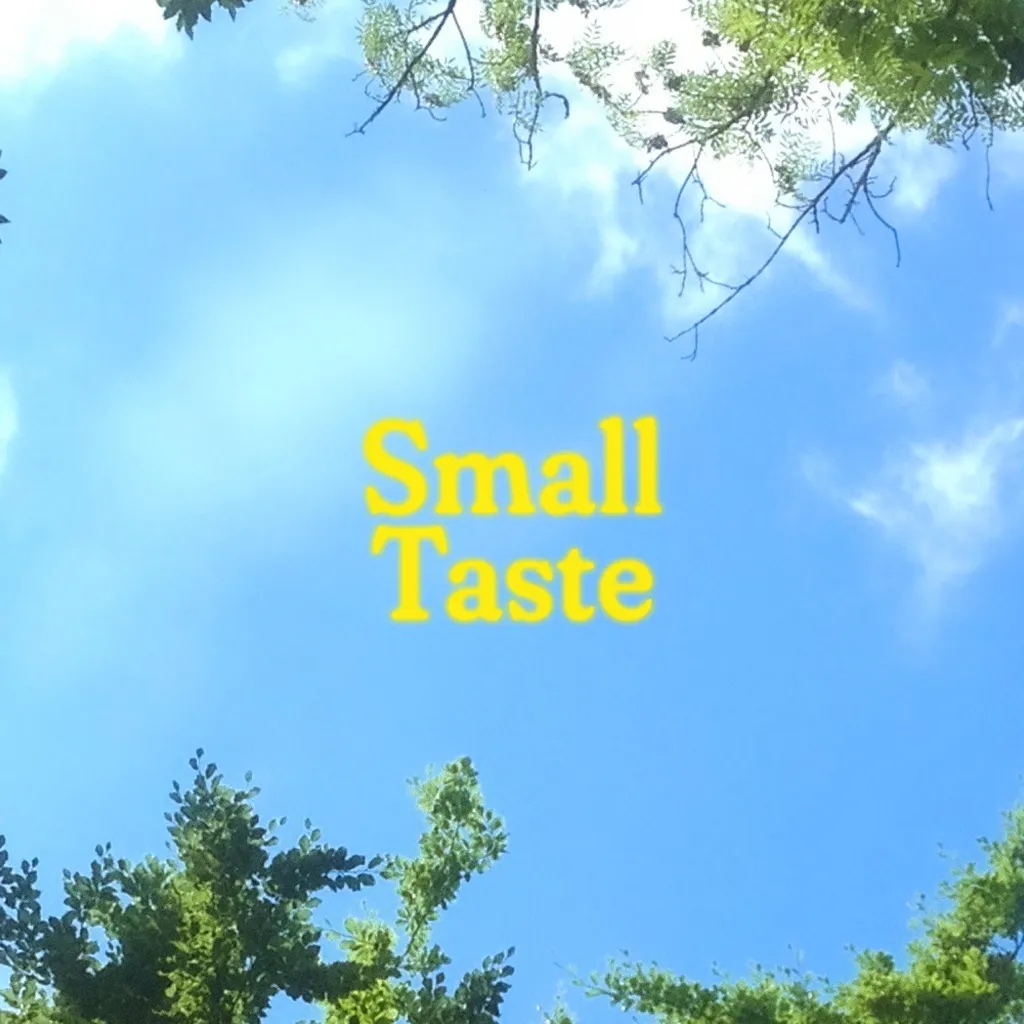 Small Taste by Sam V And Jaedyn Randell cover