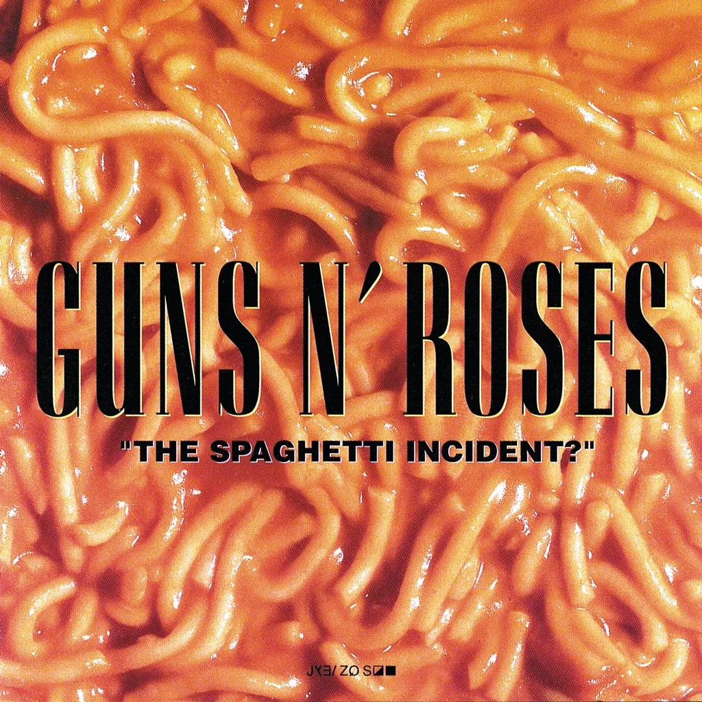 The Spaghetti Incident by Guns N Roses cover