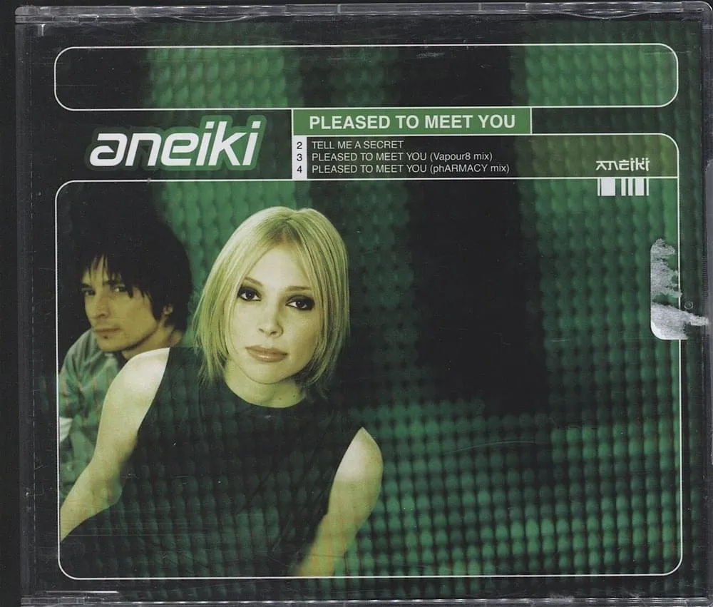 PLEASED TO MEET YOU by Aneiki cover