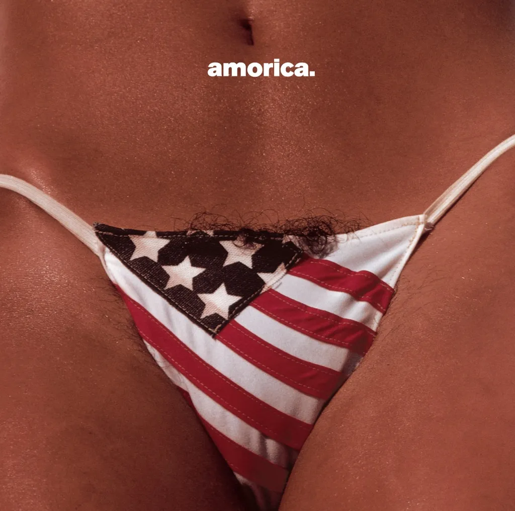 Amorica by The Black Crowes cover