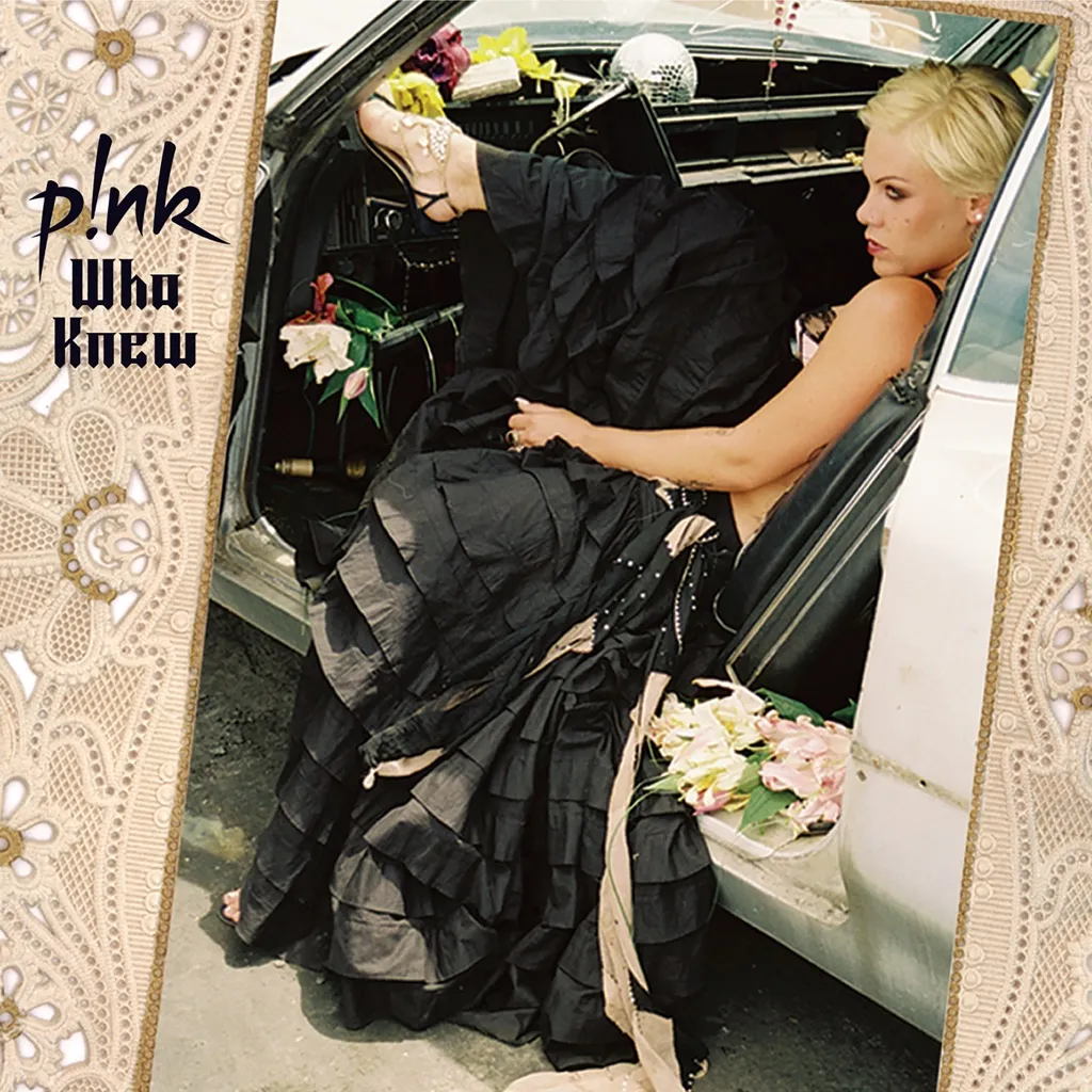 Who Knew? by Pink cover