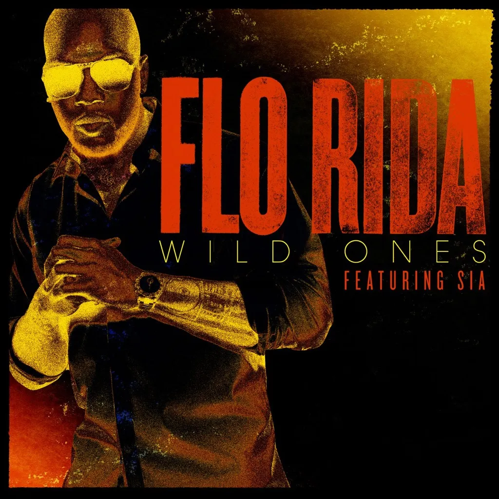 Wild Ones by Flo Rida feat. Sia cover