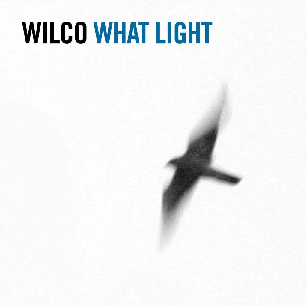 Sky Blue Sky by Wilco cover