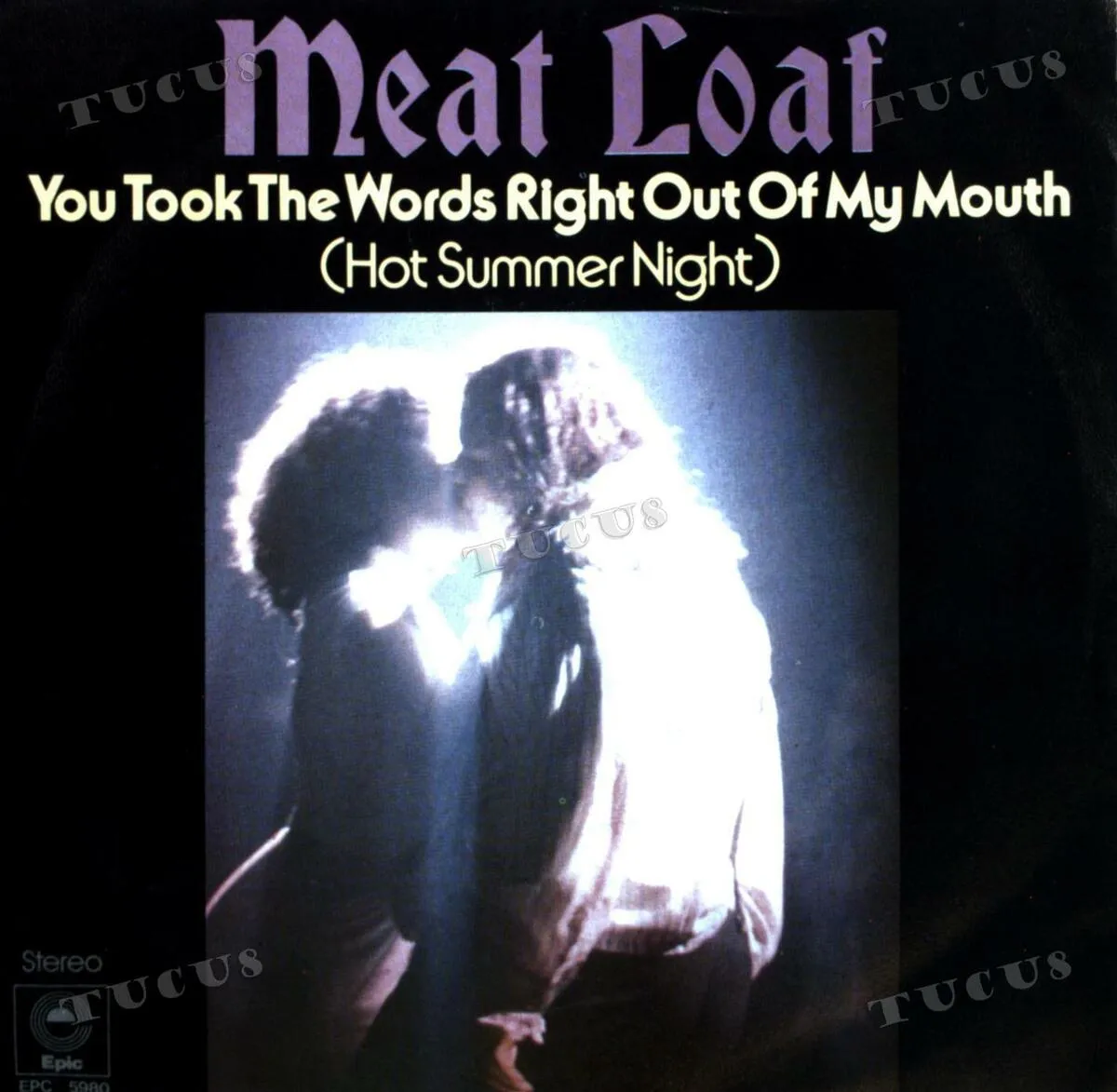 You Took The Words Right Out Of My Mouth by Meat Loaf cover