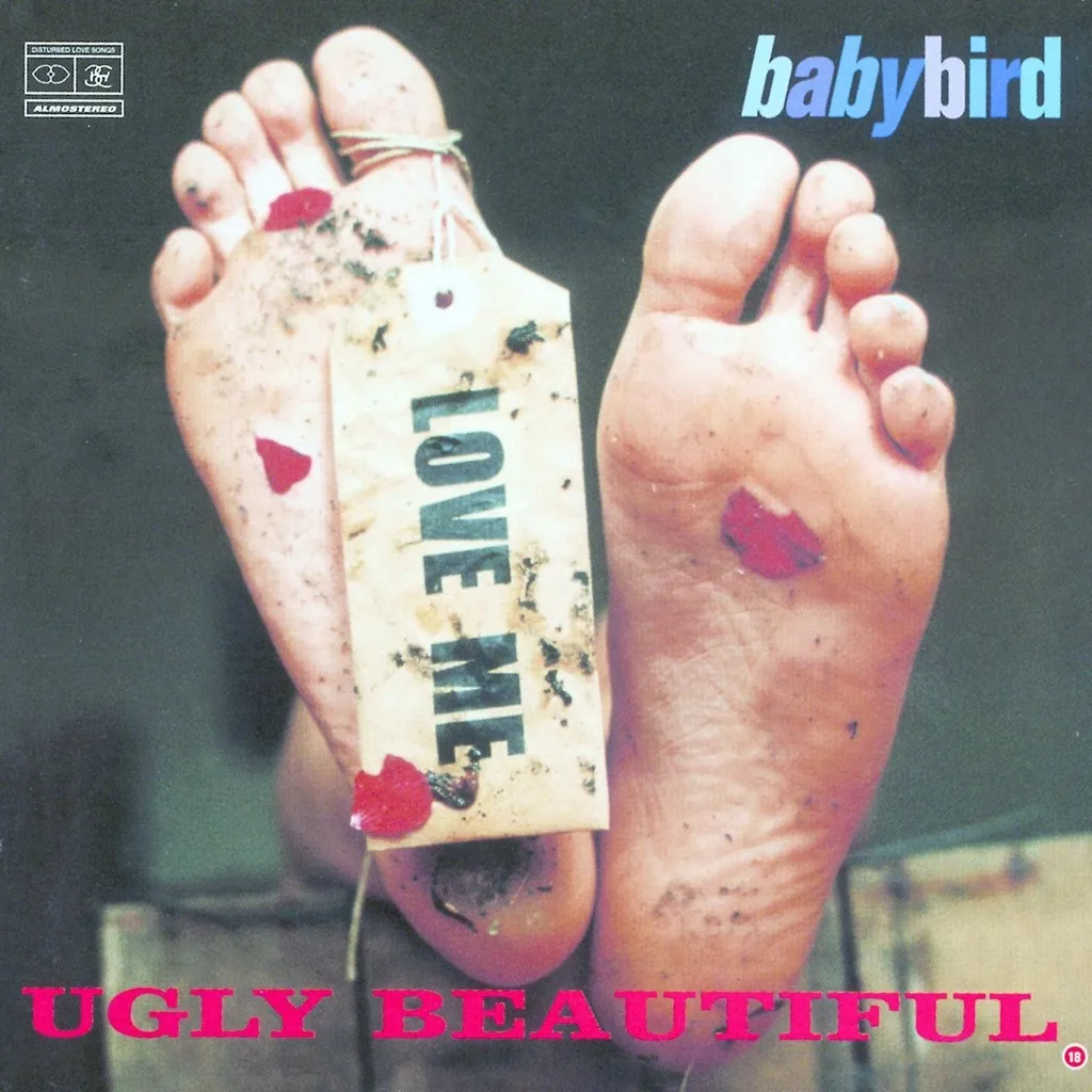 Ugly Beautiful by Babybird cover