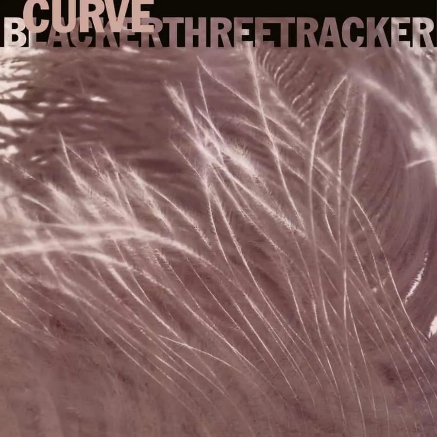 Blackerthreetracker by Curve cover