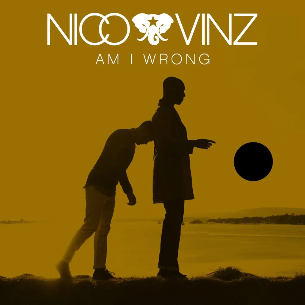 Am I Wrong by Nico And Vinz cover