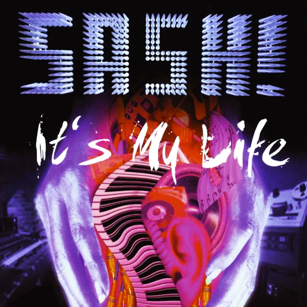 It's My Life by Sash! cover