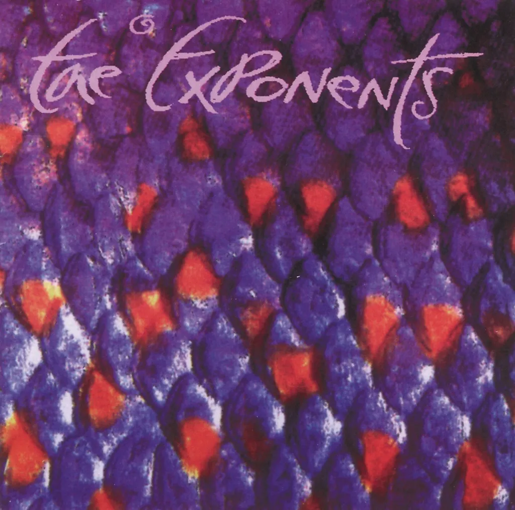 Like She Said by The Exponents cover