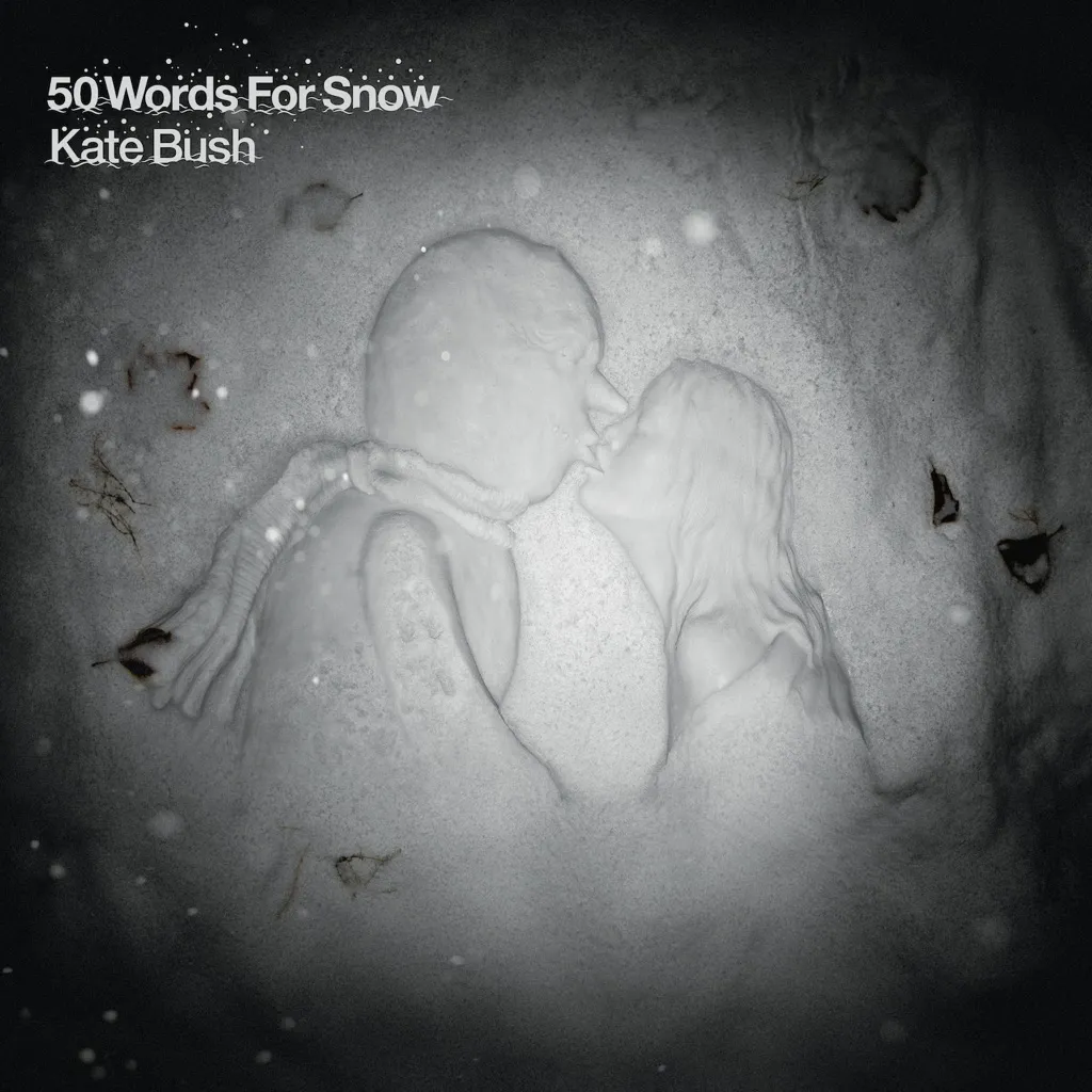 50 Words For Snow by Kate Bush cover