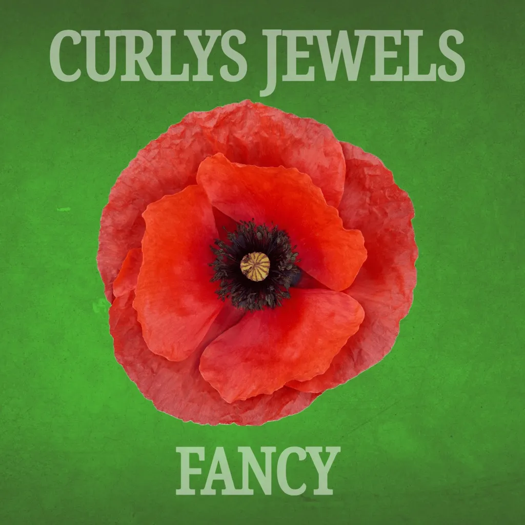 Fancy by Curlys Jewels cover