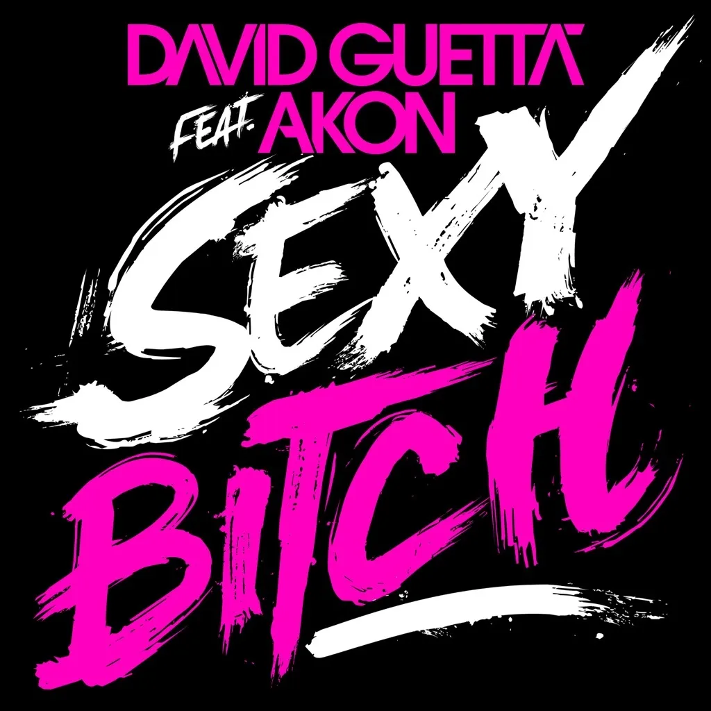 Sexy B**** by David Guetta feat. Akon cover