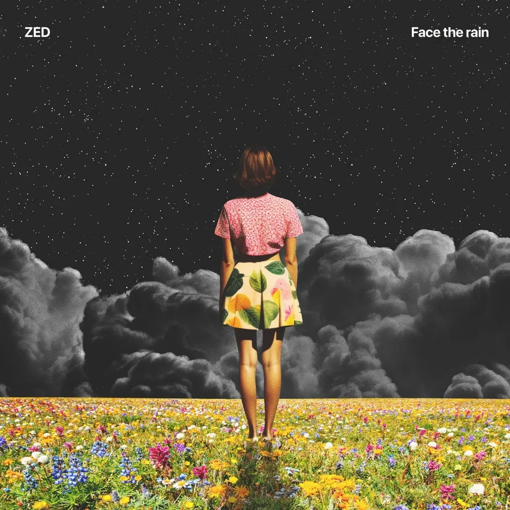 Face The Rain by Zed cover