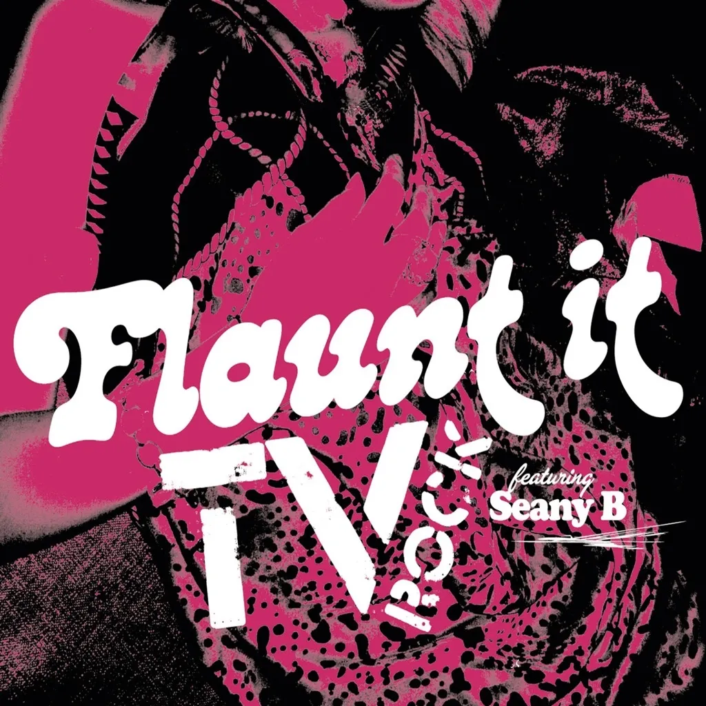 Flaunt It by TV Rock cover