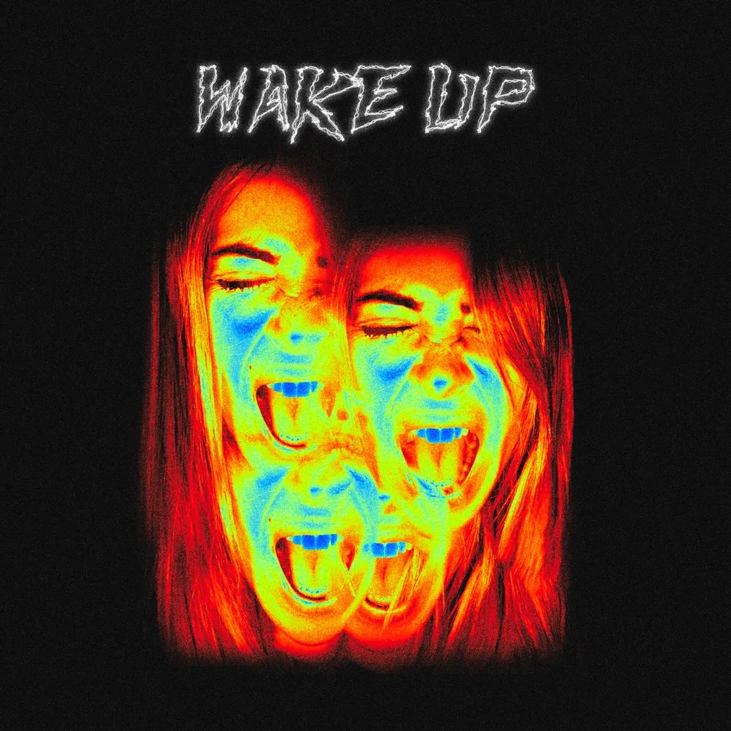 Wake Up by Alison Wonderland And QUIX cover