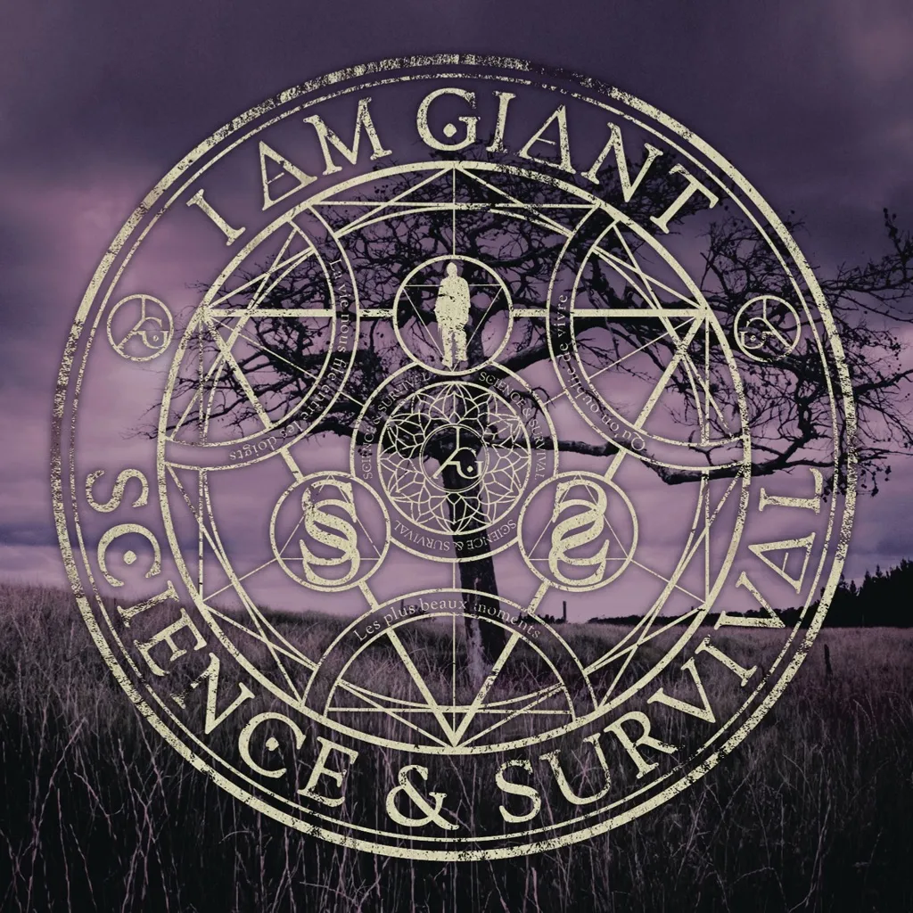 Standing On The Sun (And I Like The View) by I Am Giant cover