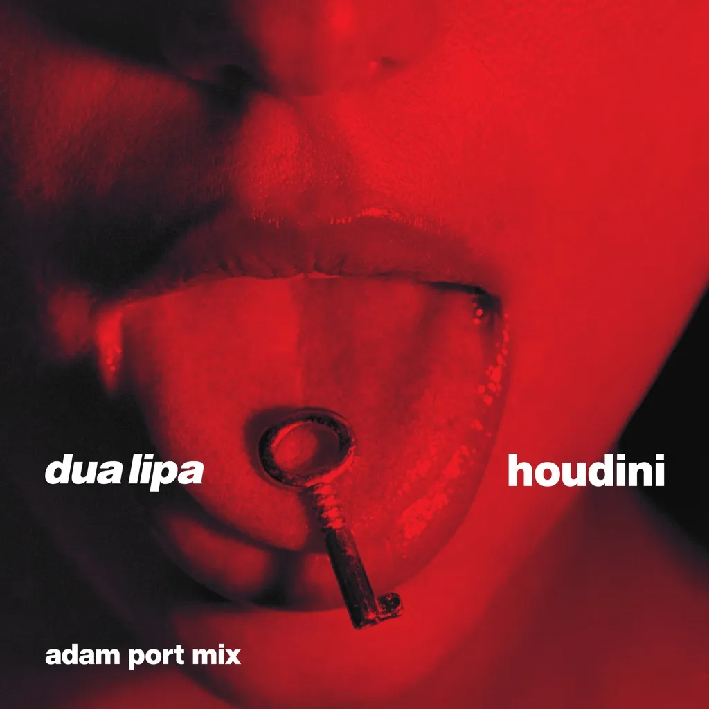 Houdini (Adam Port Mix) by Dua Lipa cover