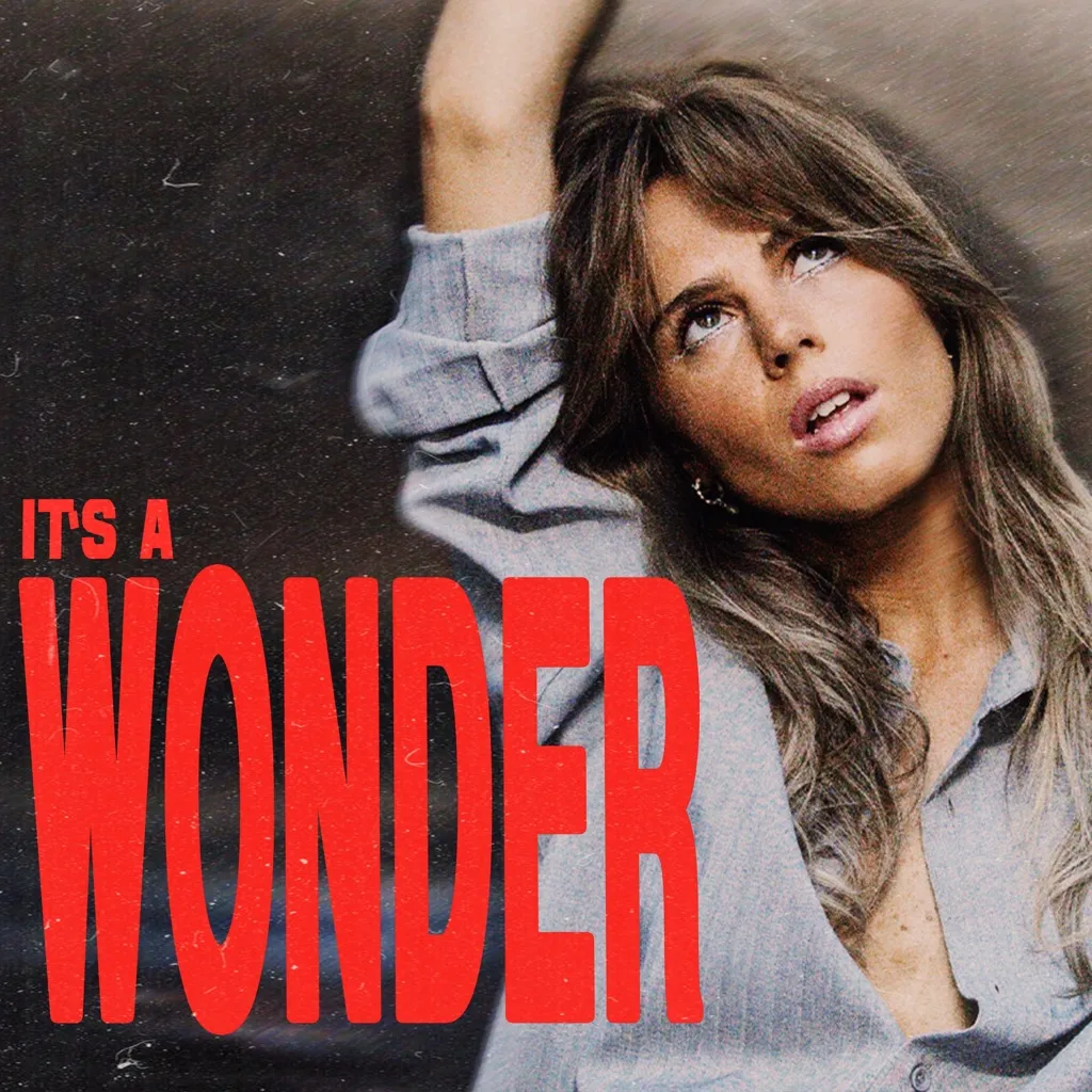 It's A Wonder by Cassie Henderson cover