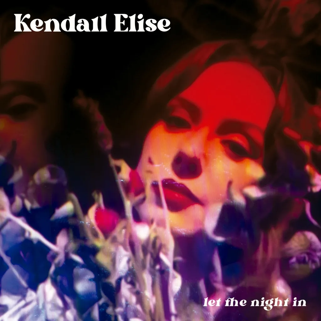 Let The Night In by Kendall Elise cover