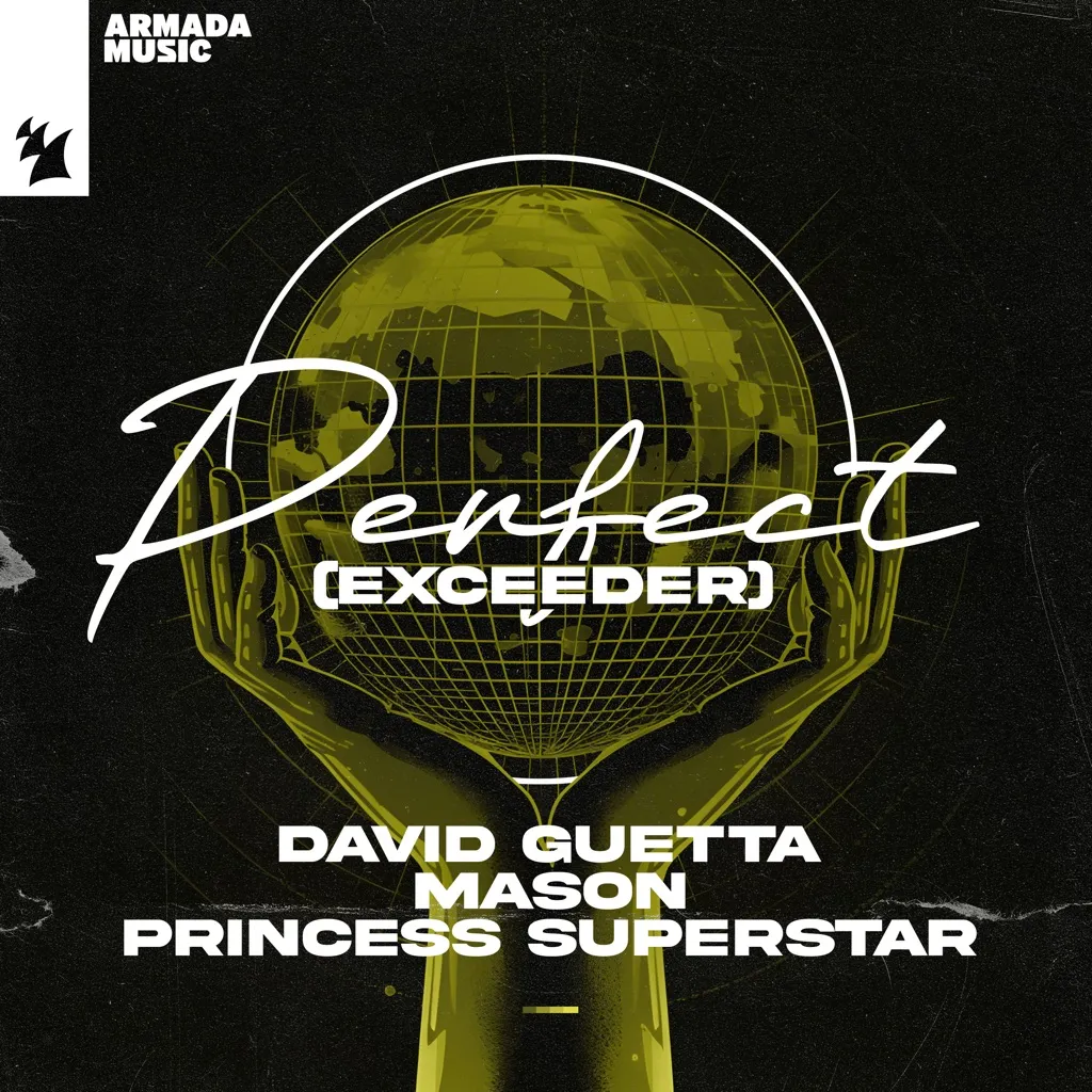 Perfect (Exceeder) by David Guetta, Mason And Princess Superstar cover