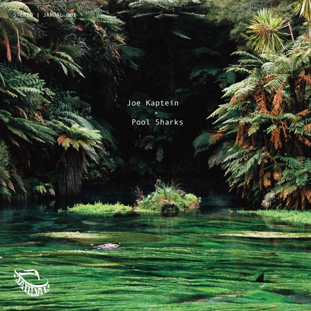 Pool Sharks by Joe Kaptein cover