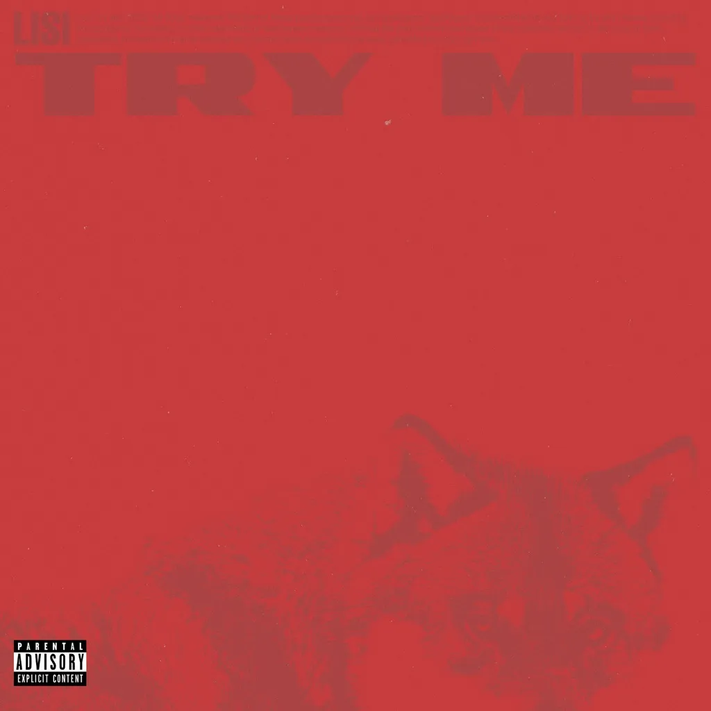 Try Me by Lisi cover