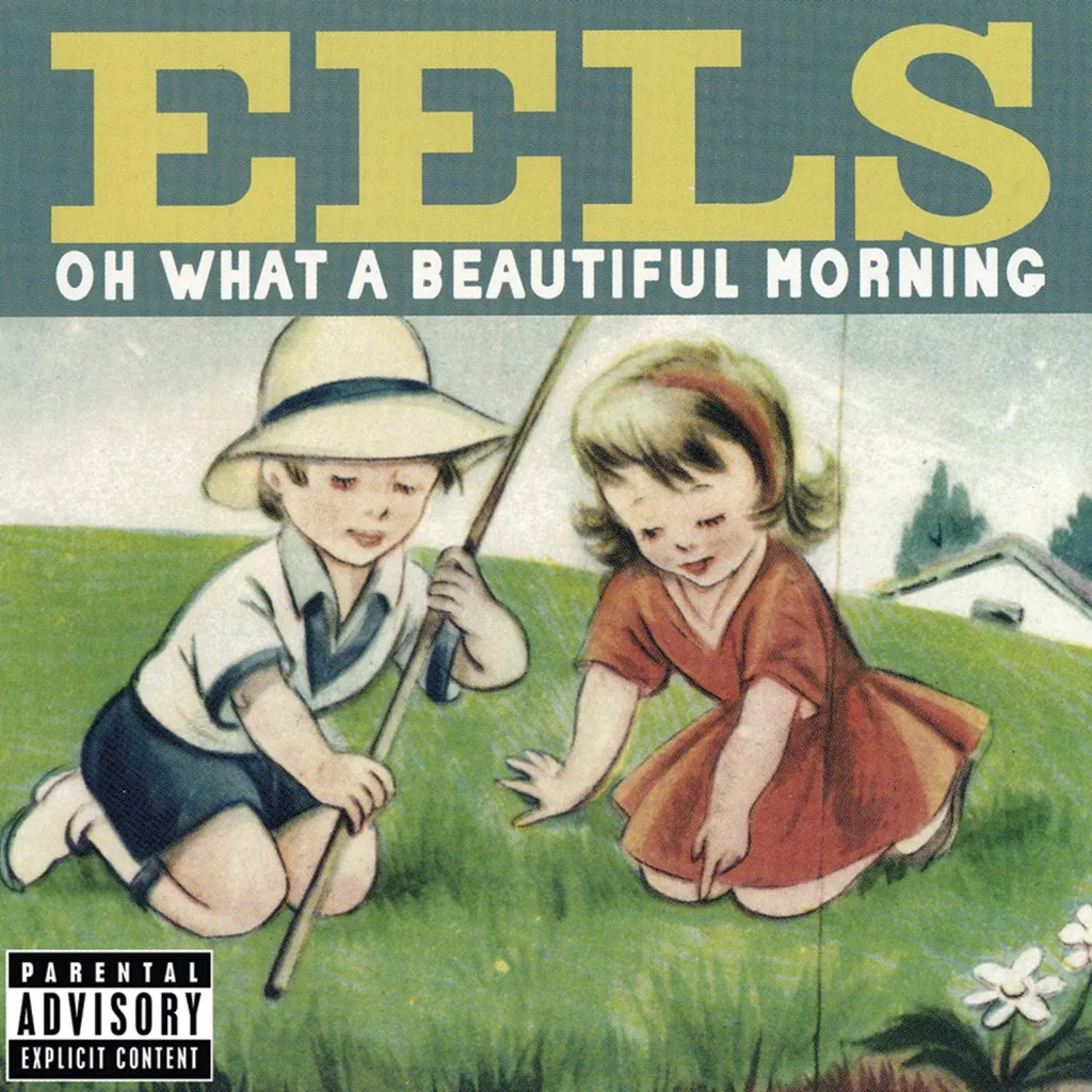 MR E'S BEAUTIFUL BLUES by Eels cover