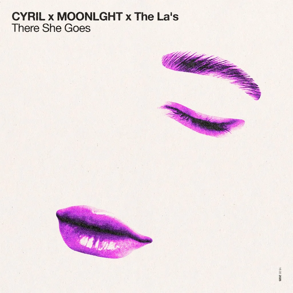 There She Goes by CYRIL, MOONLGHT And The La's cover
