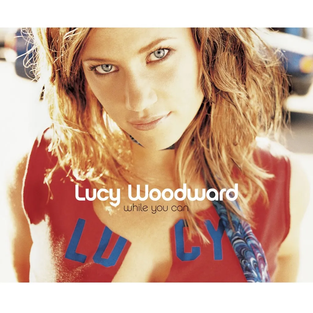 WHILE YOU CAN by Lucy Woodward cover