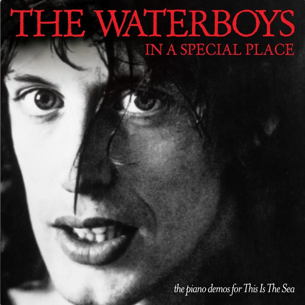 This Is The Sea by The Waterboys cover