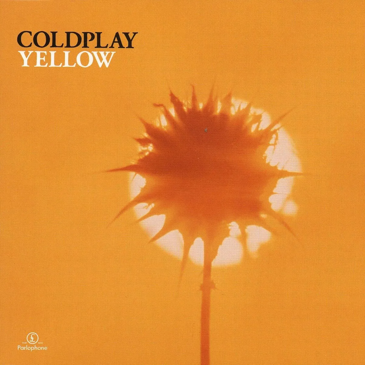 Yellow by Coldplay cover