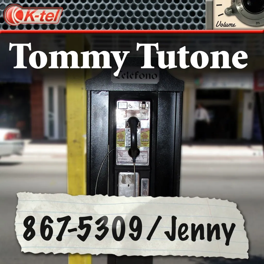 8675309 / Jenny by Tommy Tutone cover