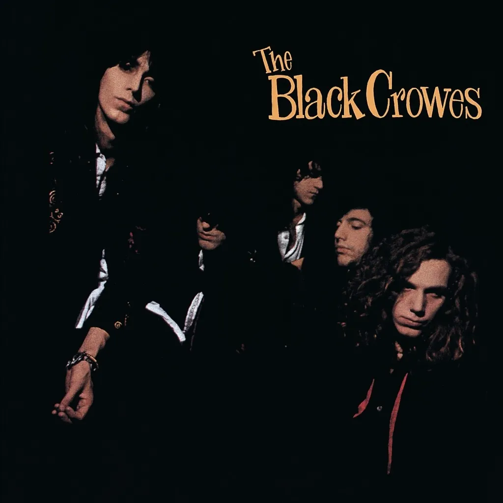 Shake Your Money Maker by The Black Crowes cover