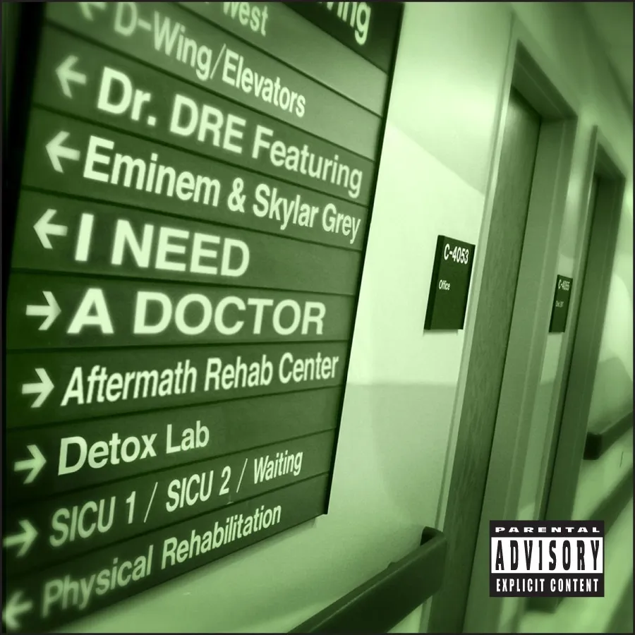 I Need A Doctor by Dr Dre feat. Eminem And Skylar Grey cover