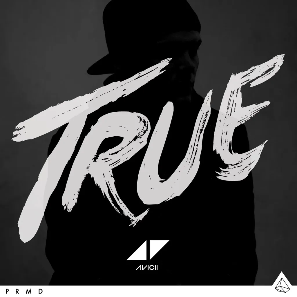 True by Avicii cover