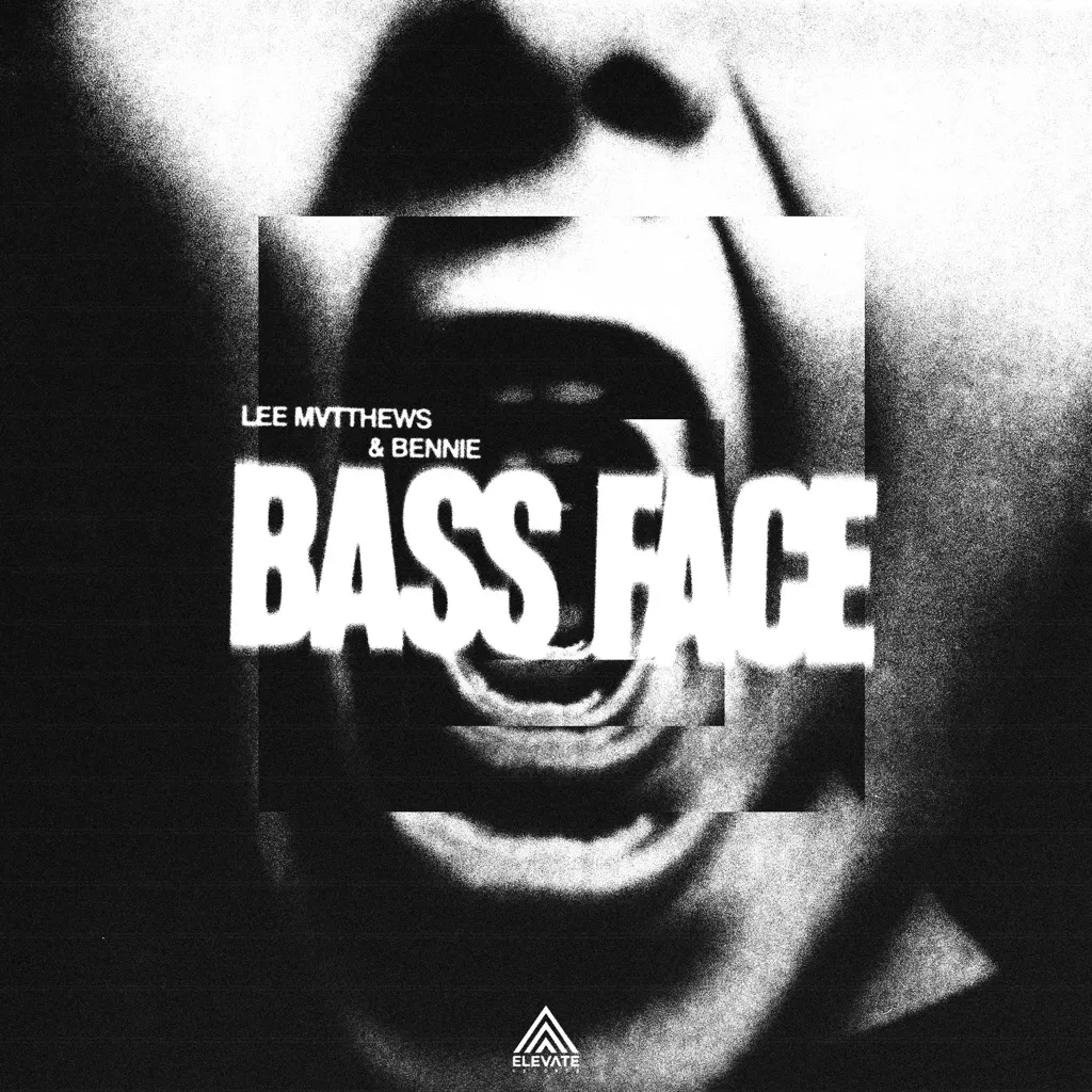 Bass Face by Lee Mvtthews And Bennie cover